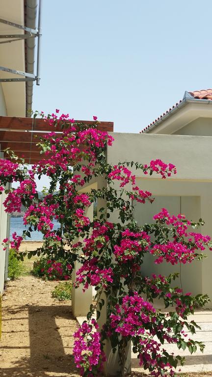 Thea Houses Milina Exterior photo